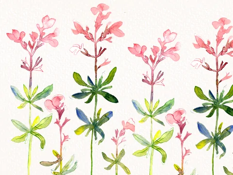 Loose watercolour florals, fruits, and veggies workshop